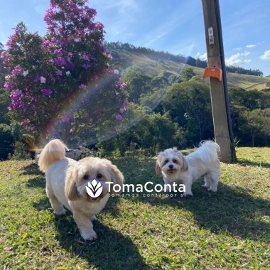 Apaixonada por cães e gatos.