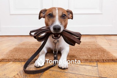 Serviços de Pet Sitting e Dog Walker