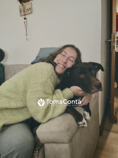 Pet sitting Porto ao domicílio