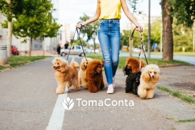 Pet Sitting/Dog Walker Lisboa