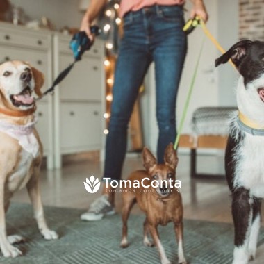 Pet Sitting/Dog Walker Lisboa