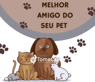 O melhor amigo do seu pet