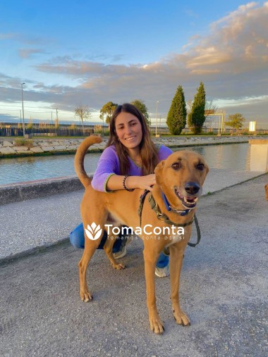 Petsitting na zona de Aveiro