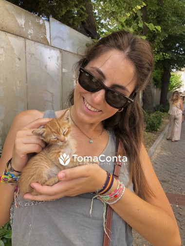 Petsitting na zona de Aveiro